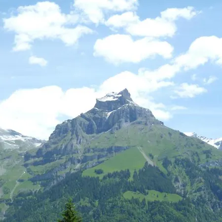 Apartment Riedmatteli Engelberg